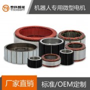 深圳泰科智能機器人關節無刷直流伺服電機